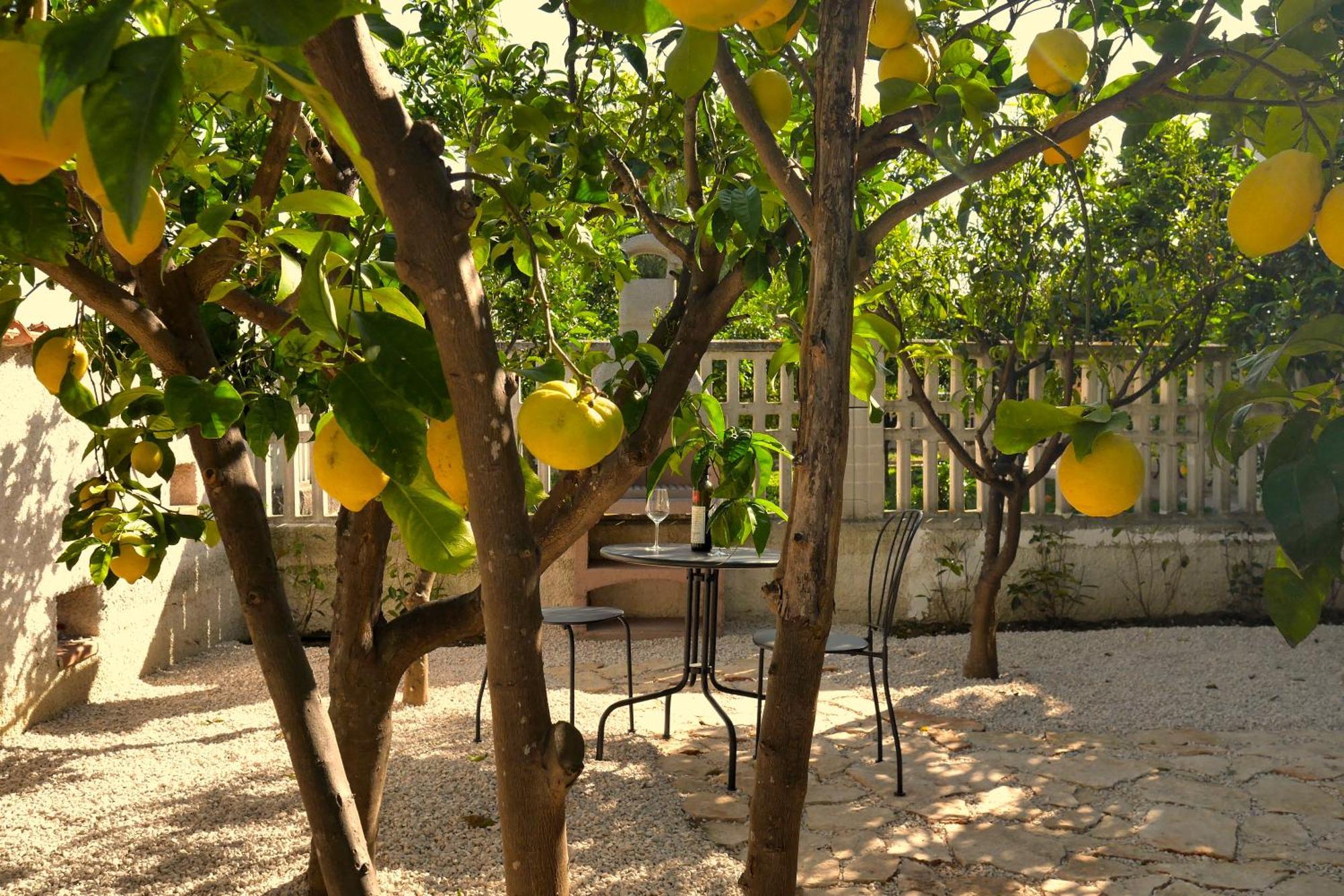 Dimora Dana Bed & Breakfast Pollutri Exterior foto